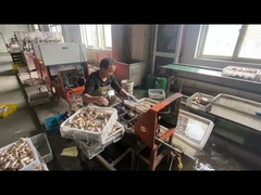 ODM χάλκινο σωλήνα αερίου κλείσιμο βαλβίδα προσαρμοσμένη με μπλε χρώμα χειριστή